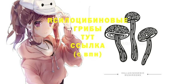 наркотики Богородск