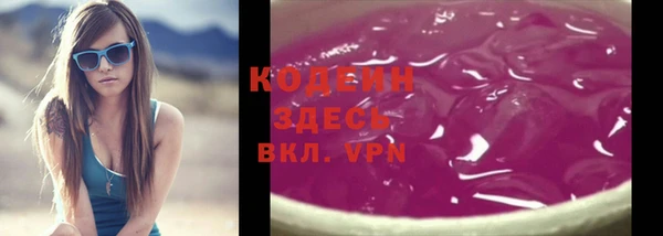 мдпв Богородицк